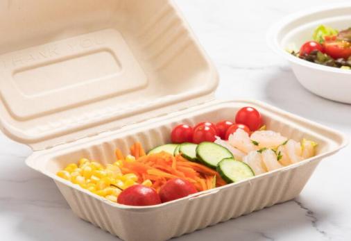The Green Alternative: Bagasse-Based Food Packaging Explained